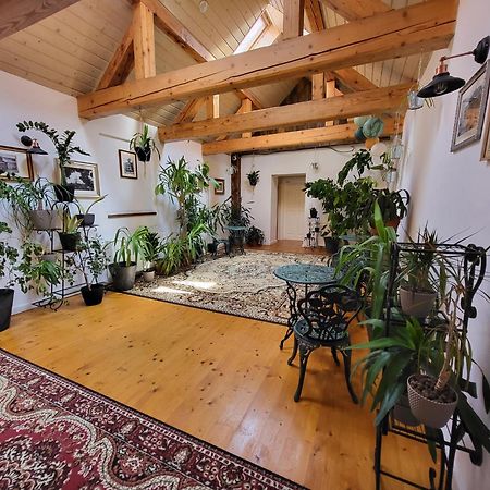 Hostel Cosmopolitan* Банска-Штьявница Экстерьер фото