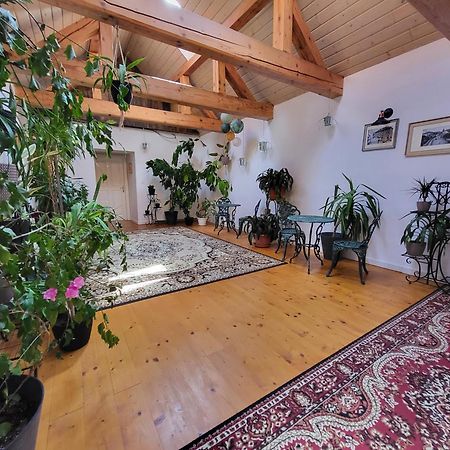 Hostel Cosmopolitan* Банска-Штьявница Экстерьер фото