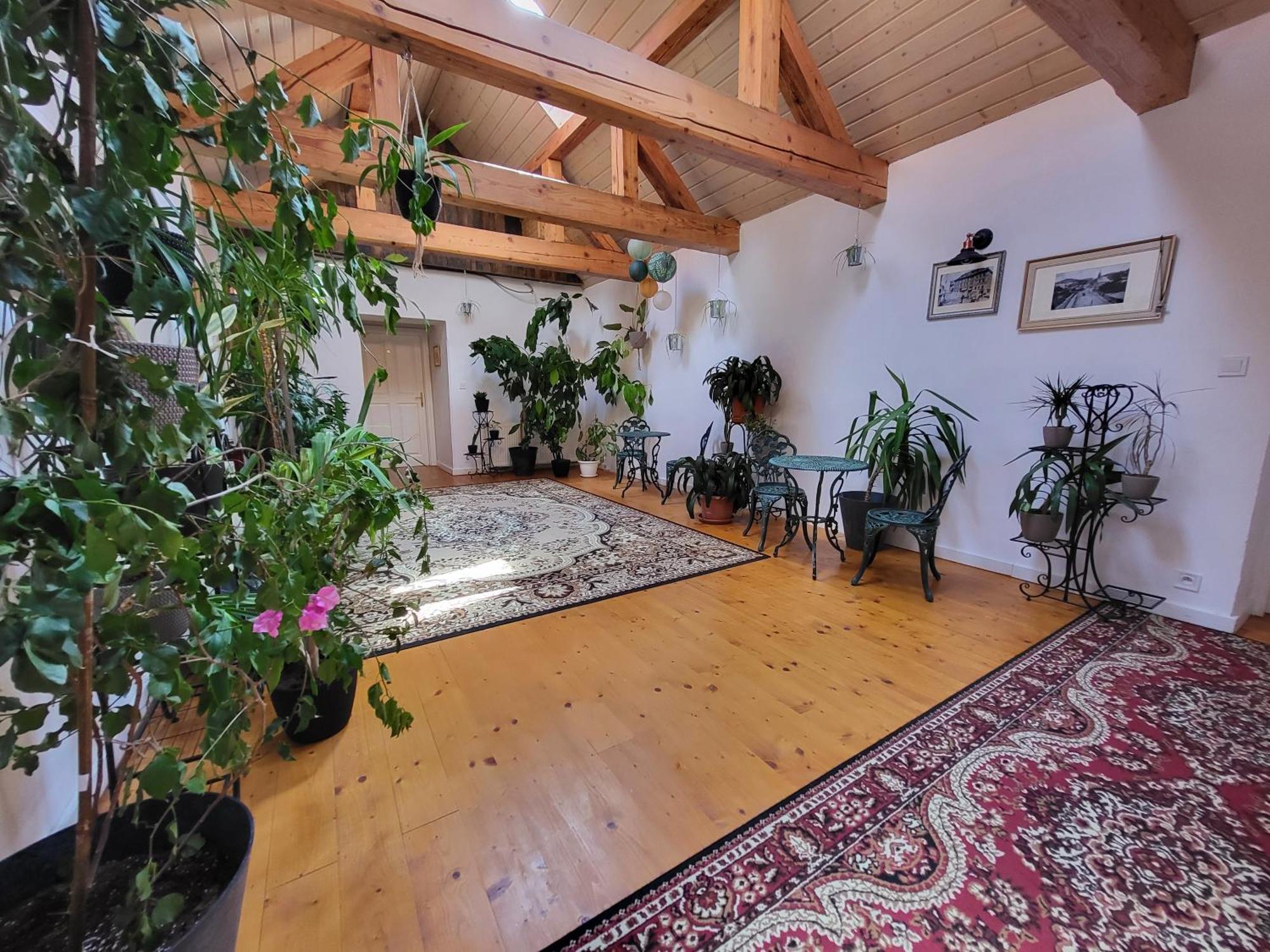 Hostel Cosmopolitan* Банска-Штьявница Экстерьер фото